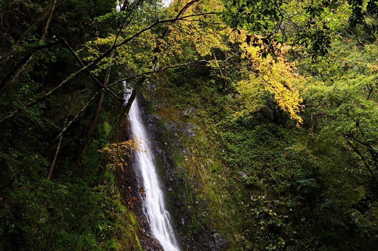 Willa Yadori Onsen Iyashinoyu Hashimoto  Zewnętrze zdjęcie